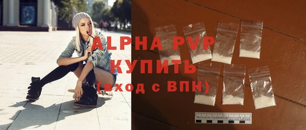 спиды Бородино