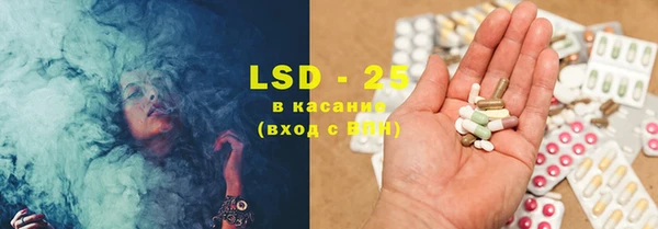 спиды Бородино