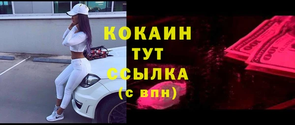 спиды Бородино
