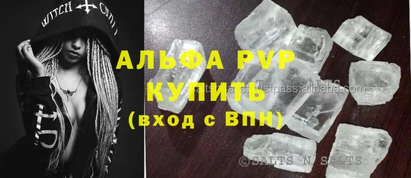 спиды Бородино