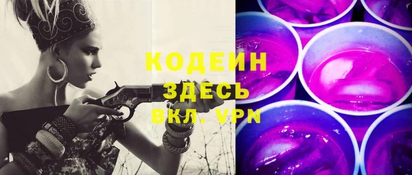 спиды Бородино
