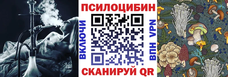 Галлюциногенные грибы Cubensis  Купить  Гаджиево 
