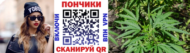 Купить  Гаджиево  Марихуана Bruce Banner 